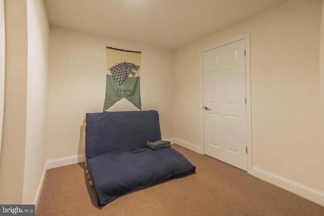 living area featuring dark colored carpet