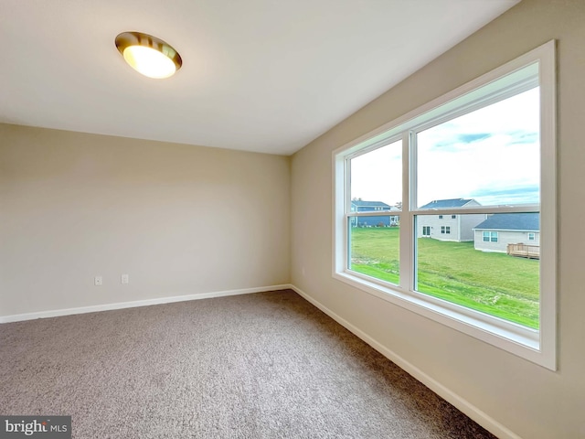 spare room with carpet floors