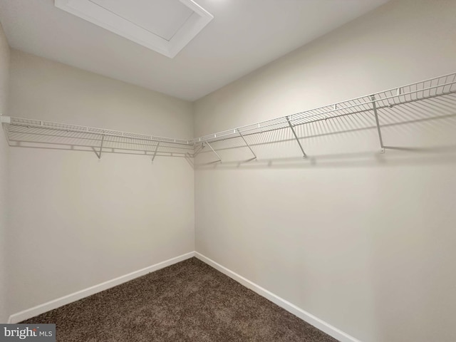 spacious closet with carpet flooring