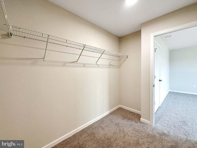 walk in closet featuring carpet floors