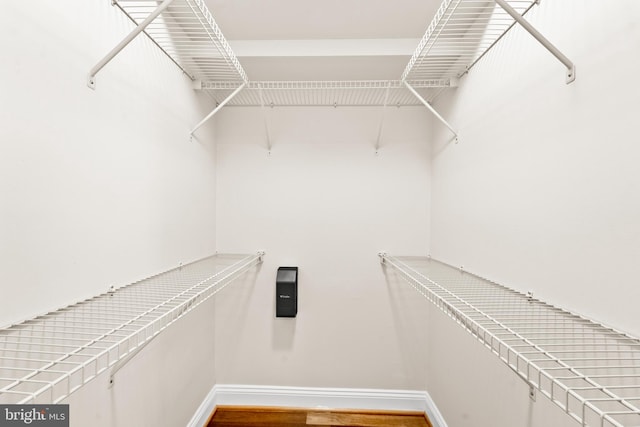 spacious closet with hardwood / wood-style flooring