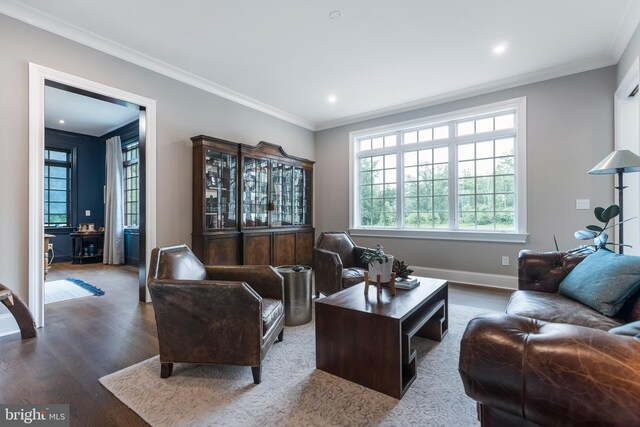 living room with crown molding and dark hardwood / wood-style floors