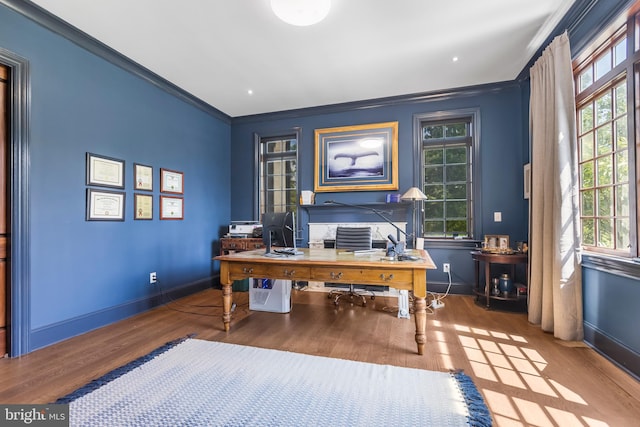 office with dark wood-type flooring and ornamental molding