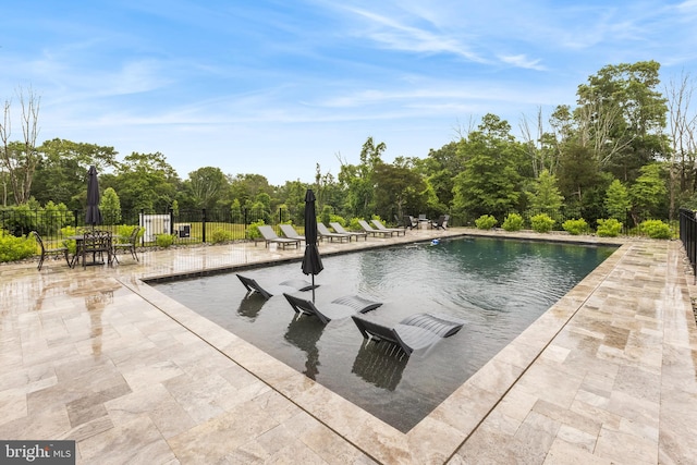 view of pool with a patio