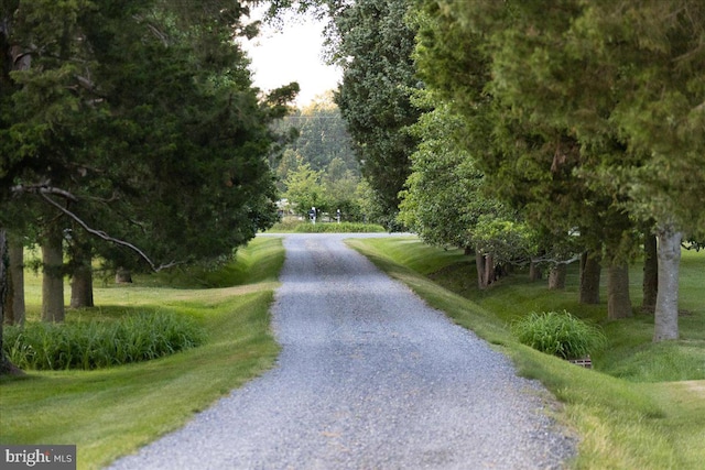 view of road