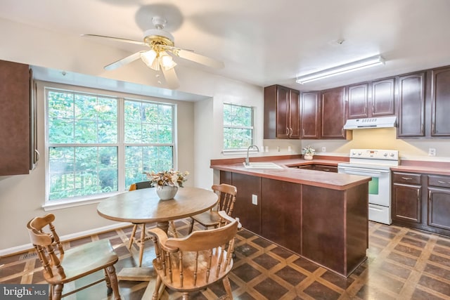 kitchen with ceiling fan, sink, dark brown cabinetry, and white range with electric cooktop