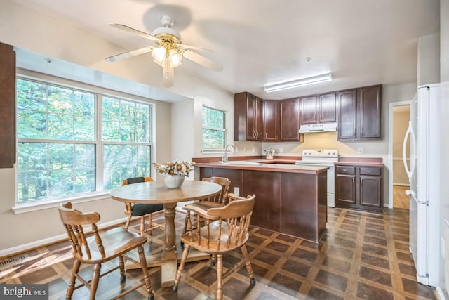 kitchen featuring ceiling fan, sink, white appliances, and dark brown cabinets