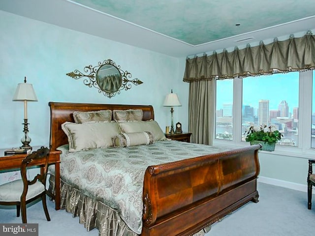 view of carpeted bedroom