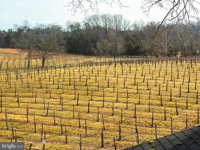 view of yard featuring a rural view and fence