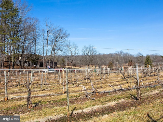 view of yard with fence and a rural view