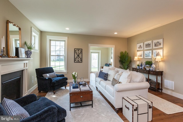 living room featuring wood-type flooring