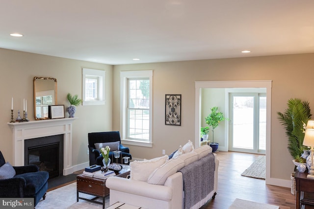 living room with light hardwood / wood-style flooring and plenty of natural light