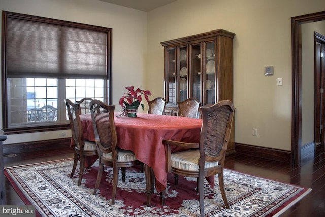 dining room featuring dark wood-type flooring