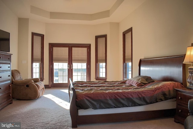 carpeted bedroom with a raised ceiling