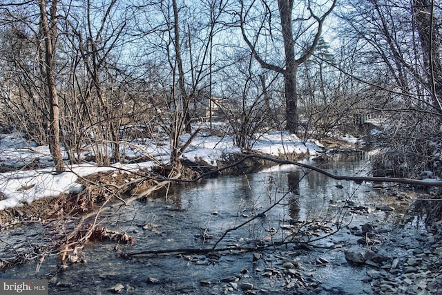 view of water feature