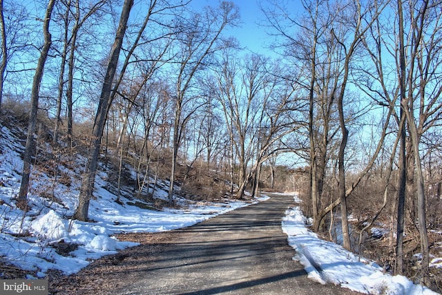 view of road