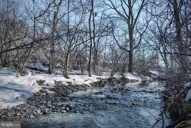 view of mother earth's splendor featuring a water view