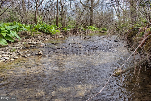 view of nature with a water view