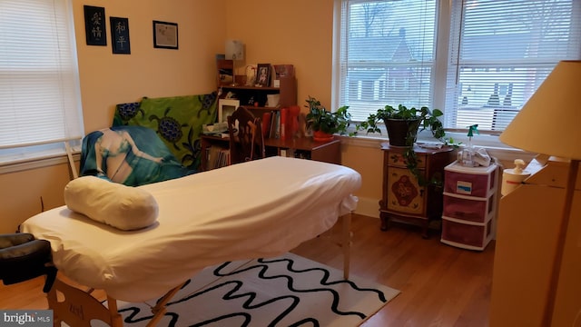 bedroom with hardwood / wood-style flooring