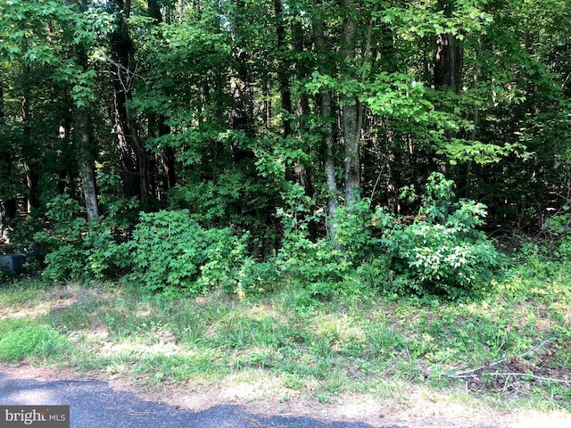 LOT9 Chesapeake Dr, Ridge MD, 20680 land for sale