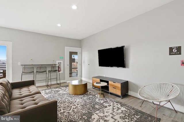 living room featuring light hardwood / wood-style floors