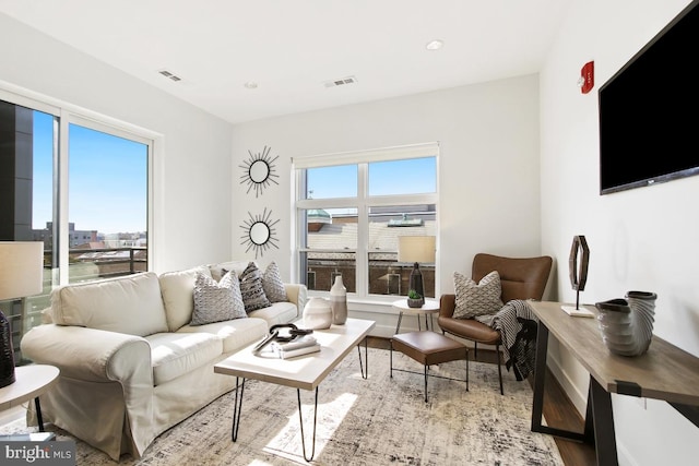 living room featuring light hardwood / wood-style floors