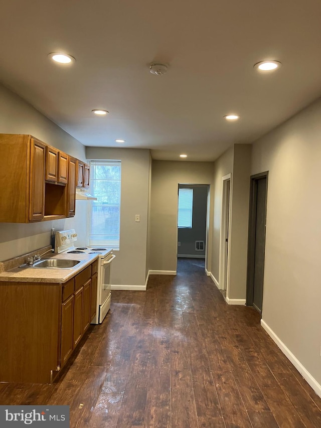 kitchen with dark hardwood / wood-style flooring, white electric stove, sink, and range hood