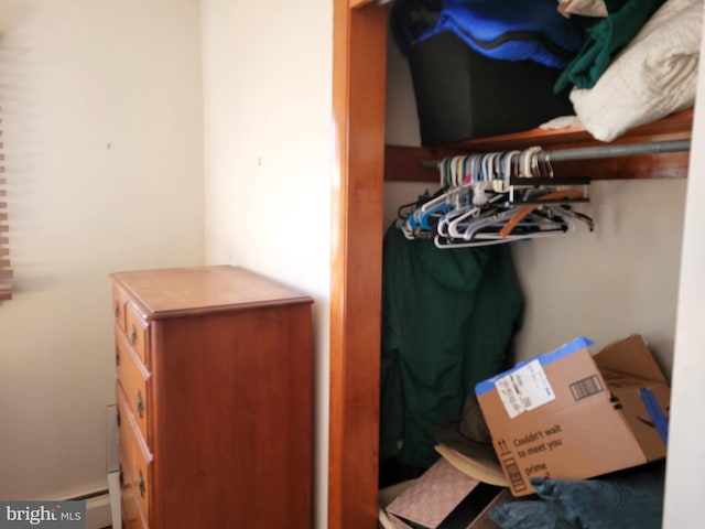 view of closet