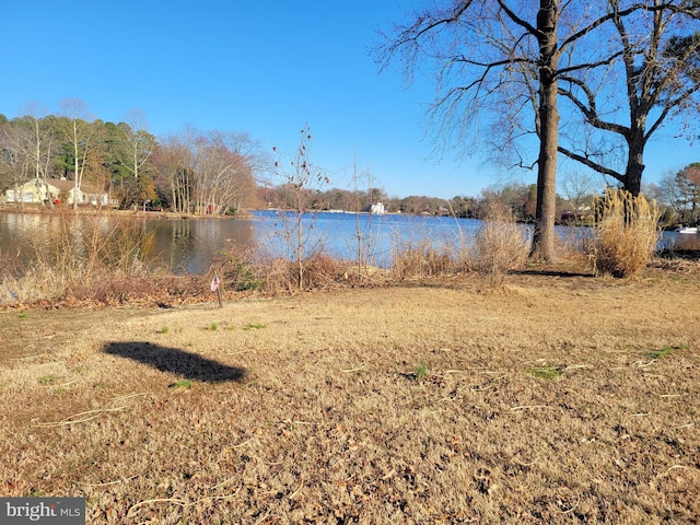 view of yard with a water view