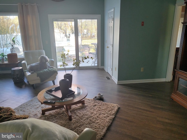 living room featuring dark hardwood / wood-style flooring