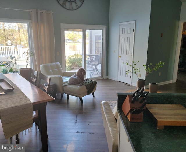 living room featuring dark wood-type flooring