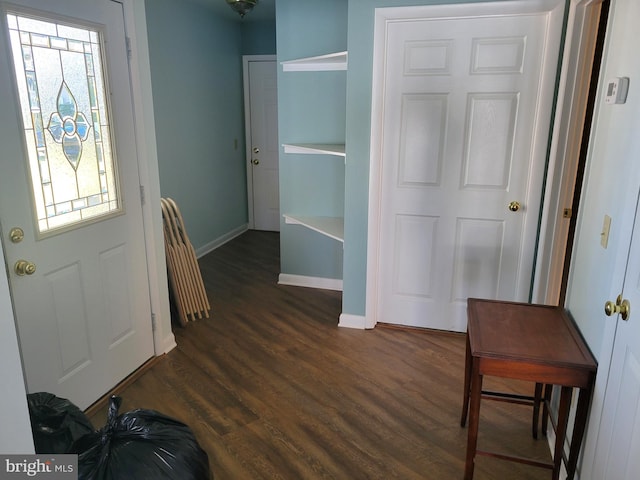 entrance foyer with a wealth of natural light and dark wood-type flooring