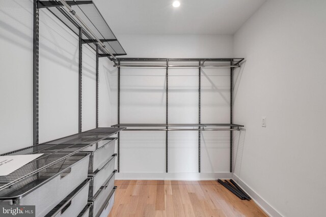 walk in closet featuring light wood-type flooring