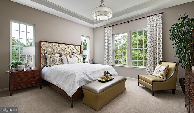 bedroom featuring carpet, baseboards, and a tray ceiling