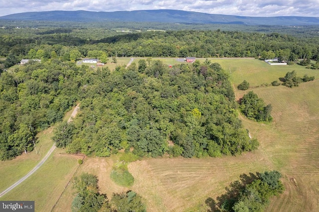 bird's eye view with a mountain view