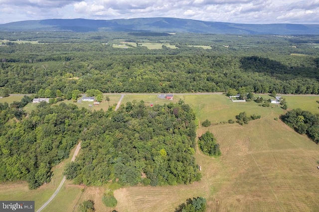 aerial view with a mountain view