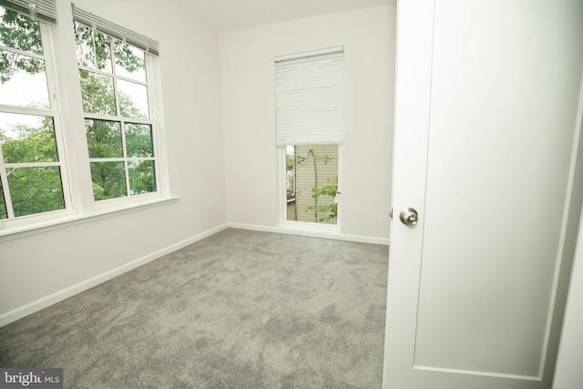 empty room featuring light colored carpet