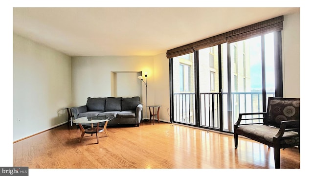 living area featuring light hardwood / wood-style flooring