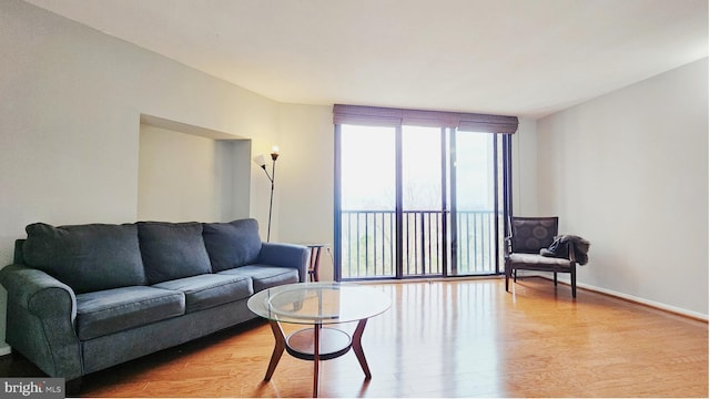 living room with light hardwood / wood-style floors