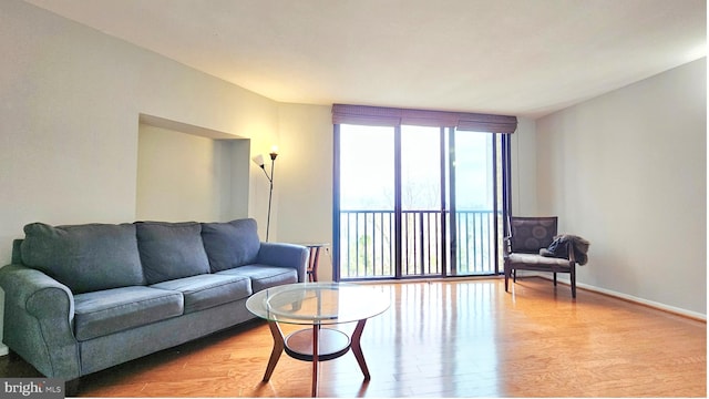 living room with a wealth of natural light and light hardwood / wood-style flooring