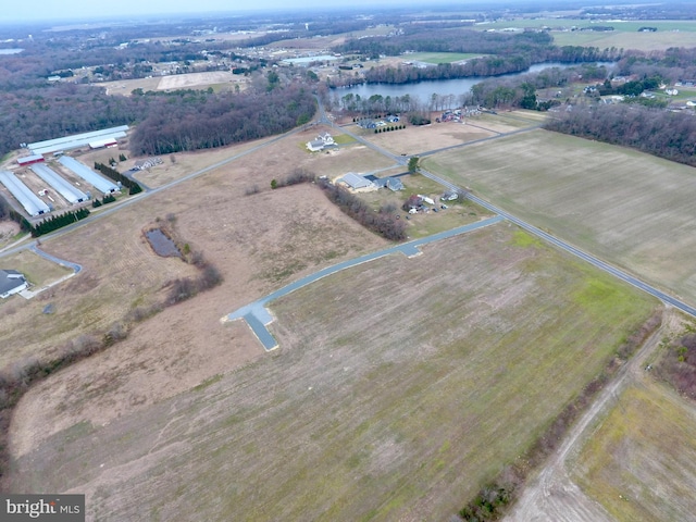 0 Chipmans Pond, Laurel DE, 19956 land for sale