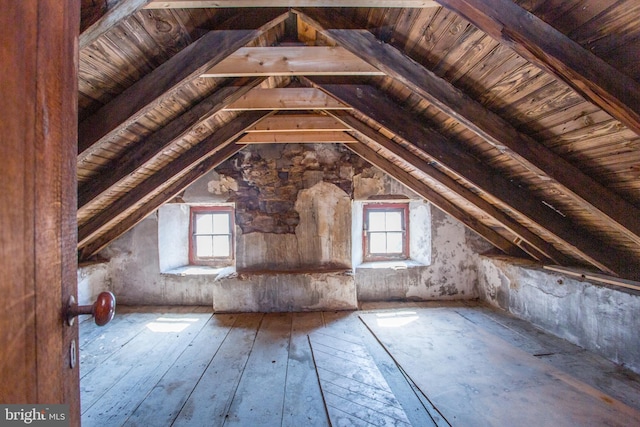 attic with a wealth of natural light