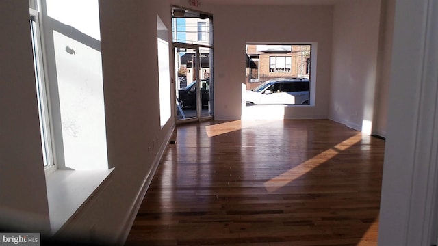 hall featuring dark hardwood / wood-style floors