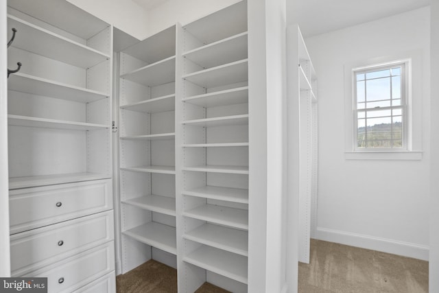 walk in closet featuring light carpet