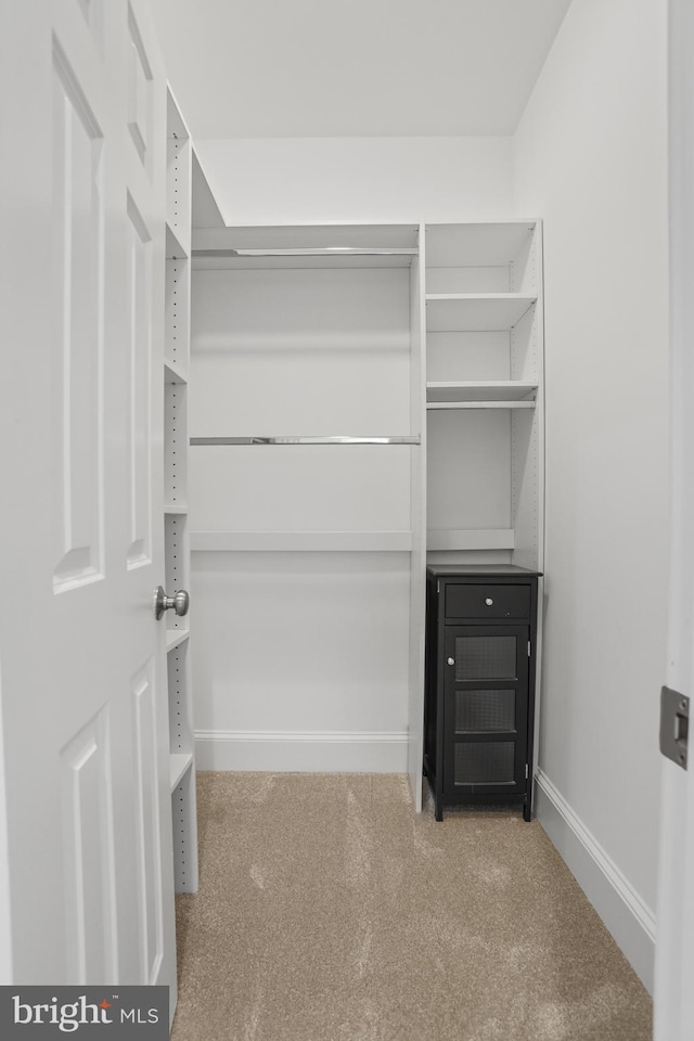 spacious closet with light carpet