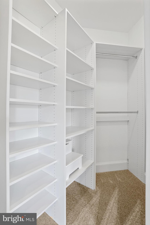 spacious closet featuring light carpet