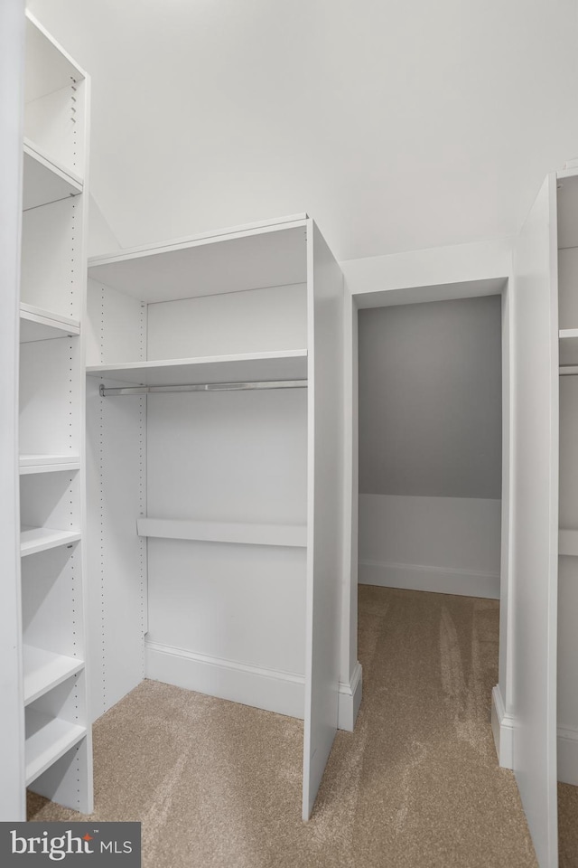 walk in closet with dark carpet