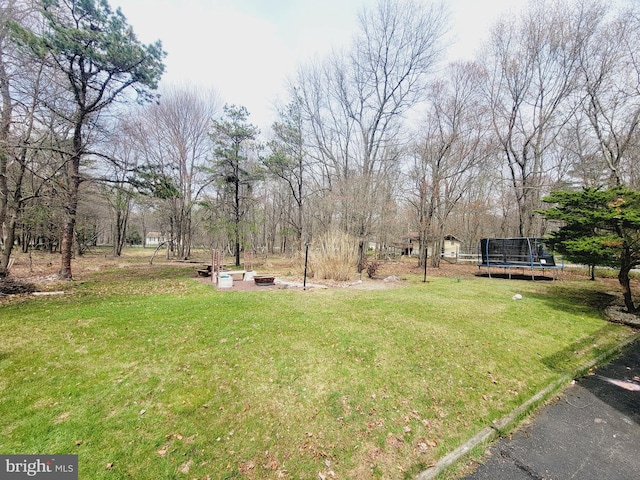 view of yard featuring a trampoline