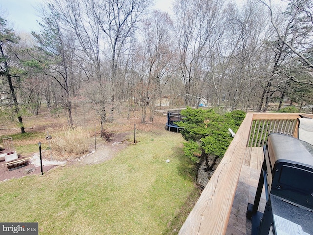 view of yard with a trampoline