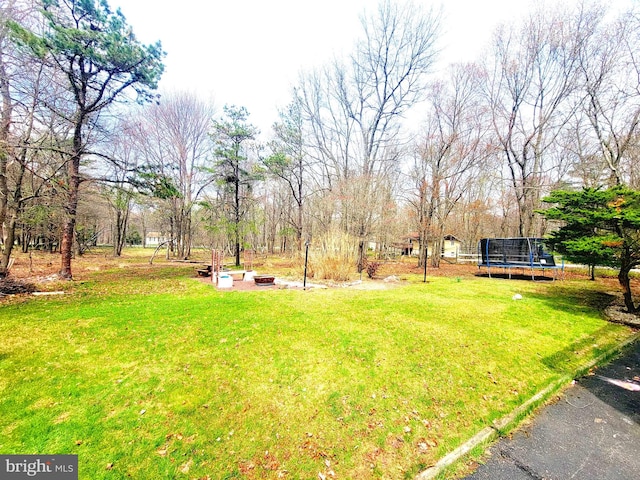 view of yard with a trampoline